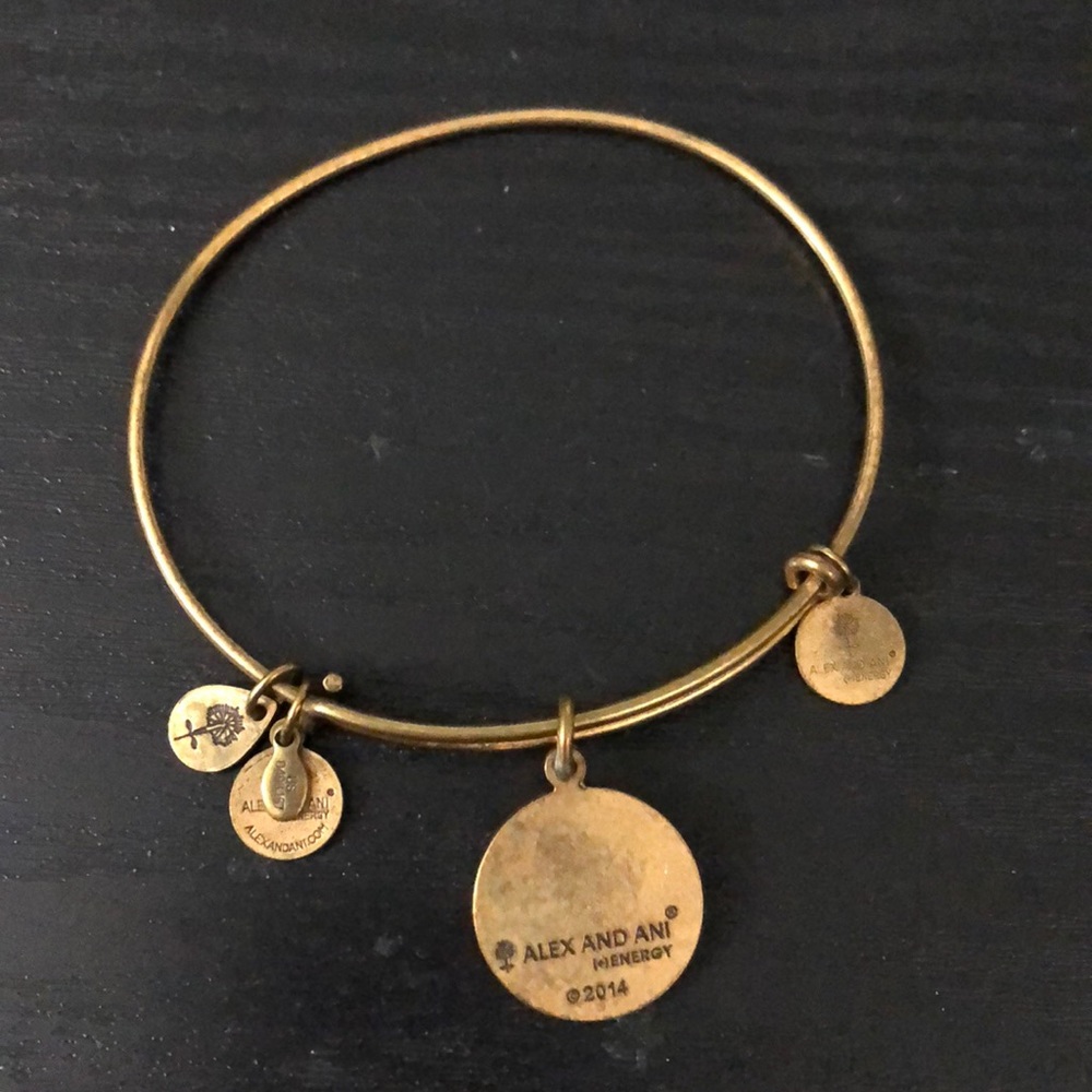 Alex and Ani Perfect Pair Bracelet - Picture 2 of 3